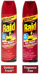 7396_Image Raid Ant Roach Killer Fragrance Free.jpg
